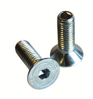 Skruesæt 2 stk.8x25 mm us